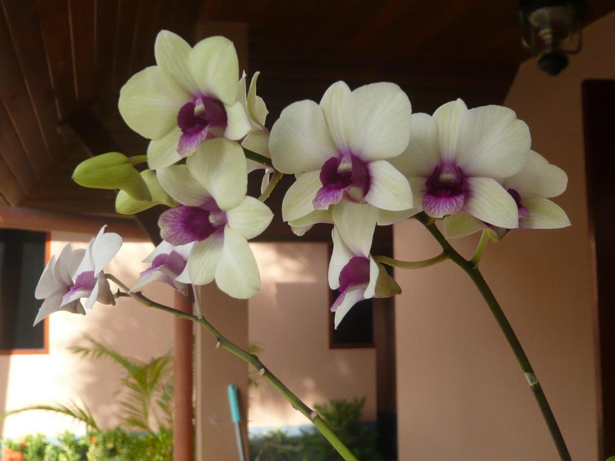 The Pace Phuket Boutique Resort Rawai エクステリア 写真