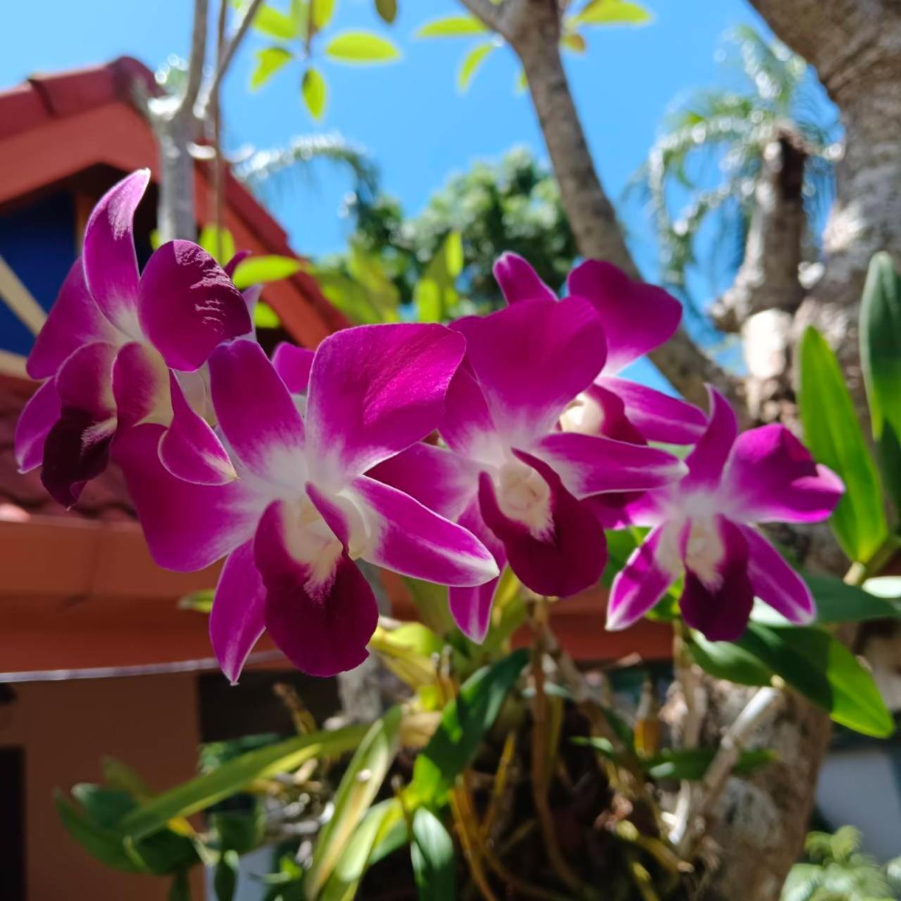 The Pace Phuket Boutique Resort Rawai エクステリア 写真